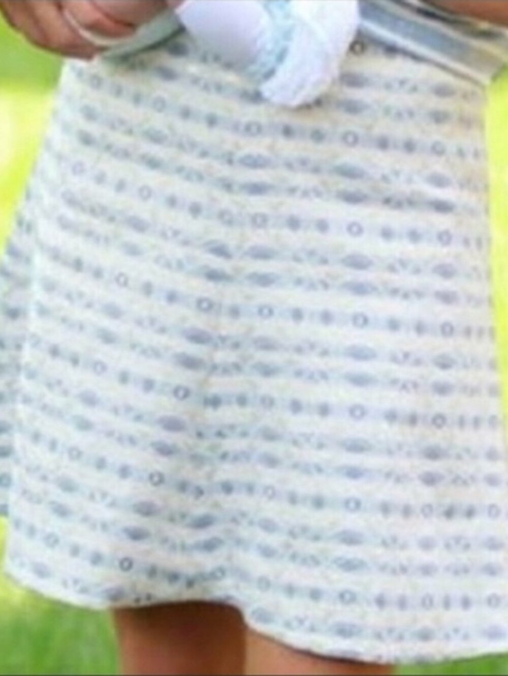 Woven Blue & White Patterned A Line Skirt - Picture 9 of 9